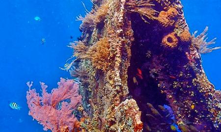 Japanese Shipwreck Amed, Bali